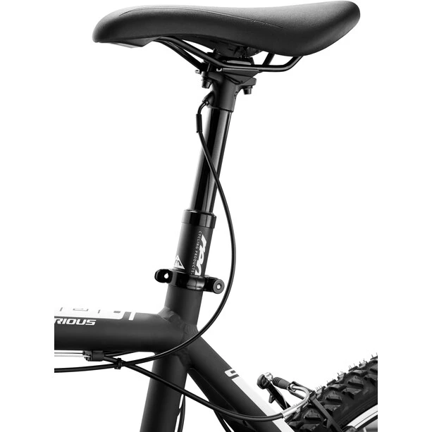 Red-cycling-products Tiges De Selle Réglables PRO Remote Teleskop Tige De Selle Ø30,9 Mm, Noir 2 Red-cycling-products Tiges De Selle Réglables PRO Remote Teleskop Tige De Selle Ø30,9 Mm, Noir – Image 2